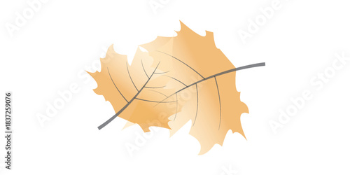 Watercolor autumn maple leaf illustration with detailed veins and stem showcasing warm fall colors.