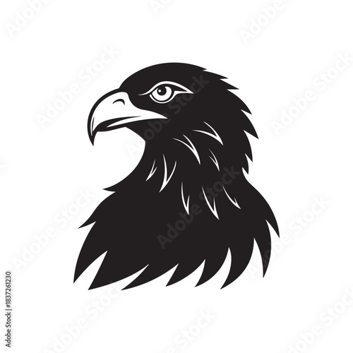 Free Eagle Head Vector Illustration  Powerful Bird Design
