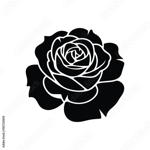 Detailed Rose Vector Illustration for Logos & Decoration