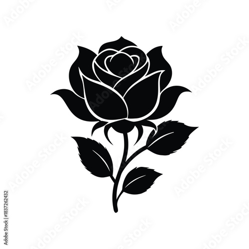 Beautiful Rose Golap Vector Art  High Quality Floral