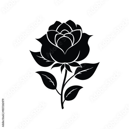 Golap Flower Vector Illustration Elegant Rose Design