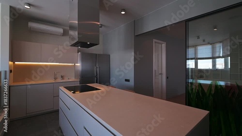 Modern kitchen with gray cabinets, quartz countertops, stainless steel appliances, and minimalist design, creating a clean and functional interior.