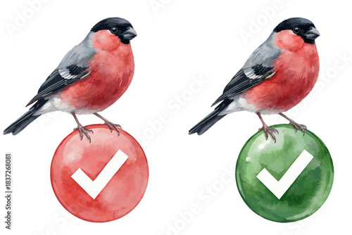 Watercolor bullfinch birds standing on red and green round checkmark icons, detailed winter illustration with vibrant feathers and glossy symbol buttons