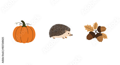 Simple still life collection of autumn elements including a pumpkin a hedgehog and fallen leaves.