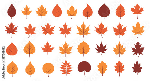 Colorful collection of various types of beautiful autumn leaves from different tree species.