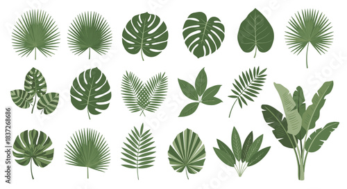 Collection of various fresh green tropical leaves from exotic plants like monstera and palm.