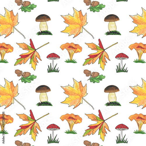 Magical autumn pattern, bright maple leaves, white mushroom, chanterelle, red fly agaric acorns. Cozy golden autumn atmosphere for harvest, cooking and autumn decor concepts.
