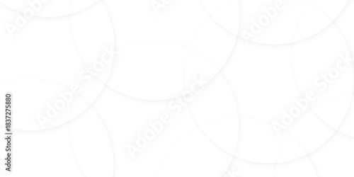 Abstract white gradient circle pattern of 3d bubbles background template. abstract white modern transparency circle presentation background. bubbles, illustration, design, in illustration design.