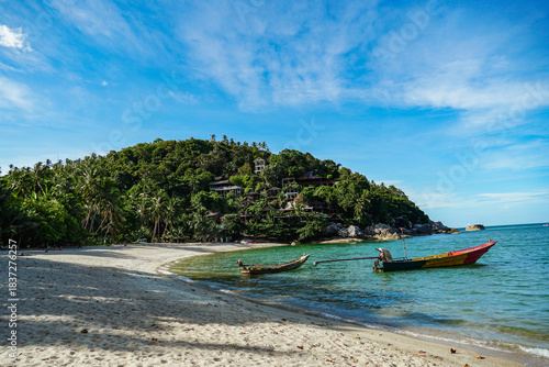View on the Than Sadet beach,koh Phangan island,Thailand. Tropical beach shore in Koh Phangan with huge rocks, coconut palm tree, lush green vegetation and small steps leading to tourist bungalows.