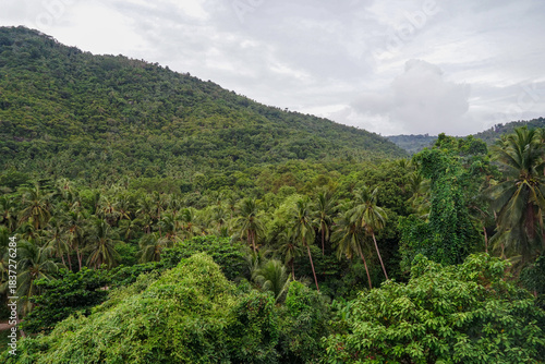 View on the Than Sadet beach,koh Phangan island,Thailand. Tropical beach shore in Koh Phangan with huge rocks, coconut palm tree, lush green vegetation and small steps leading to tourist bungalows.