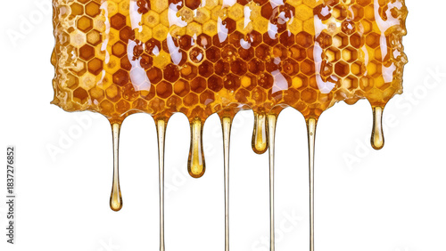 Honeycomb with Dripping Honey on White Background