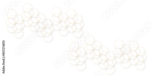 Abstract white hexagon concept background. Modern pattern polygon art in illustration art background.  geometry science and technology.