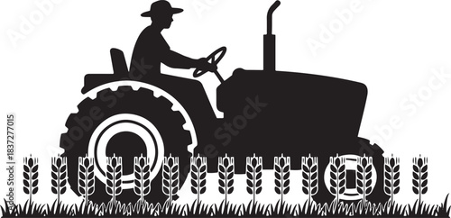Farmer driving tractor through wheat field silhouette agriculture