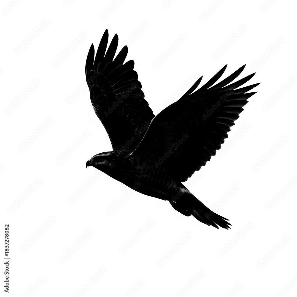 Obraz premium Monochrome image of bird in flight with its wings spread against white, representing soaring, freedom, power, and precision in the sky