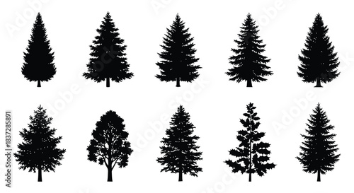 Stunning collection of diverse evergreen and deciduous tree silhouettes perfect for nature design projects