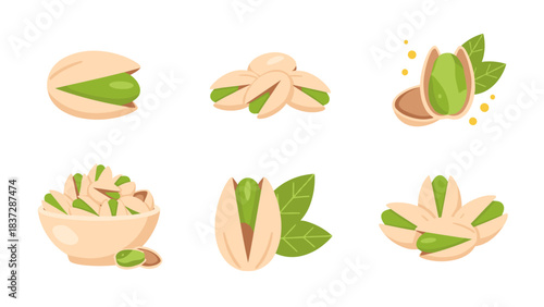 Set of pistachio nut illustrations in various forms