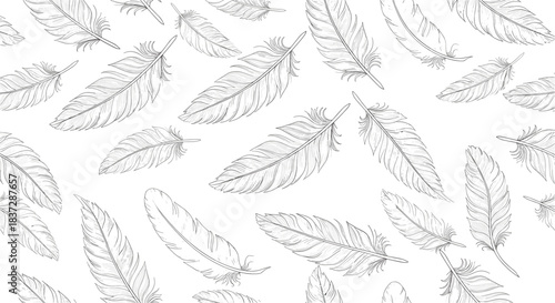 Seamless pattern of beautifully detailed hand-drawn feathers floating on a clean white background in a monochrome style.
