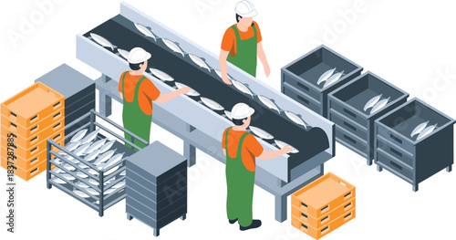 Isometric illustration of fish processing factory workers sorting seafood on conveyor belt with storage crates, safety gear and industrial equipment