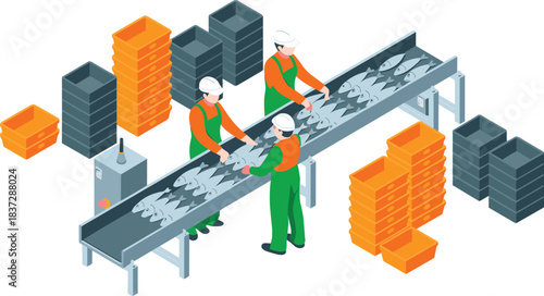 Isometric illustration of fish processing factory workers sorting seafood on conveyor belt with storage crates, safety gear and industrial equipment