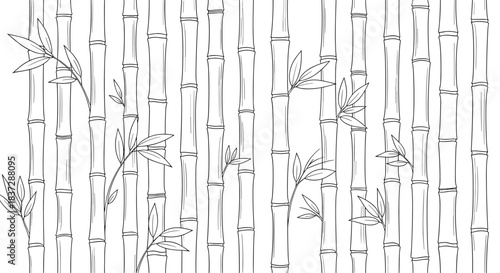 Monochrome background of dense bamboo stalks and leaves hand-drawn in a detailed black and white line art zen style illustration.