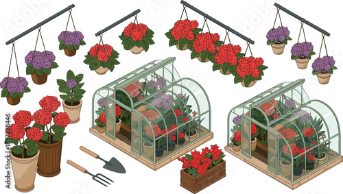 Isometric illustration of greenhouse with blooming flowers, potted plants, hanging baskets and gardening tools, showcasing floral cultivation and horticulture setup