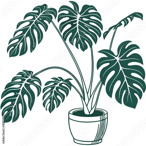 Potted philodendron plant illustration potted leaf