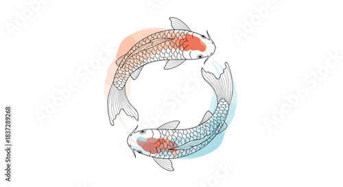 Beautiful illustration of two Japanese koi carp fish swimming in a circle symbolizing the concept of yin and yang harmony.