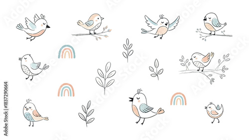 Bird and Rainbow Illustrations: A charming illustration depicts adorable birds perched on delicate branches, accompanied by colorful rainbows, creating a whimsical and joyful scene.