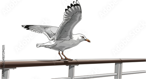 moment of liftoff a coastal wanderers bold leap towards the open sky, isolated on transparent background