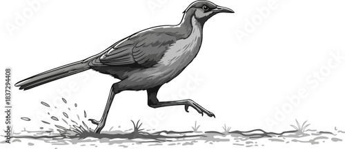 wetland ballet monochromatic birds spirited dash through watery expanse, isolated on transparent background