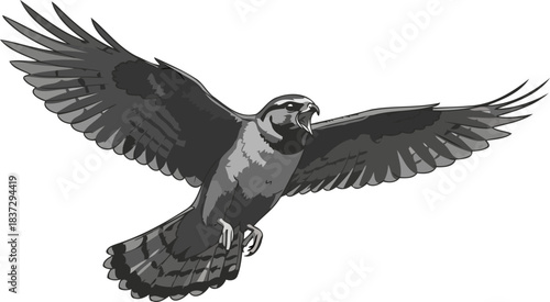 airborne herald monochromatic raptor illustration, proclaiming untamed dominance of the skies, isolated on transparent background