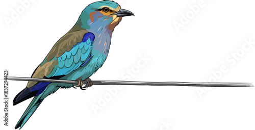 vivid pause natures jewel observes the world from its quiet perch, isolated on transparent background