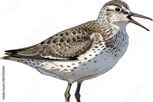 wild overture natures untamed voice from the shifting sands, isolated on transparent background