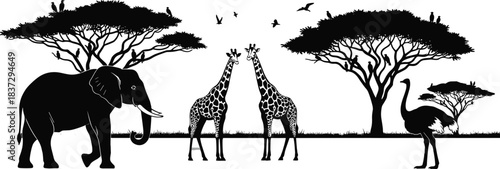 elephant, giraffes, and ostrich under acacia trees, digital flat vector illustration set for design and travel.