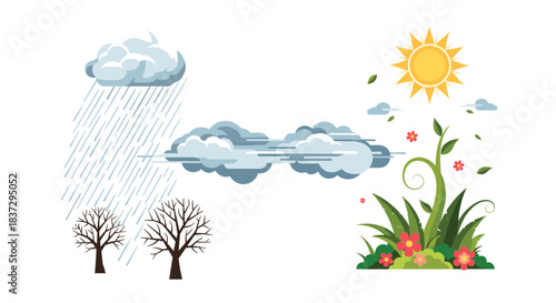 Illustration showing different weather conditions including rain, clouds, bright sun, and the growth of plants across the seasons.