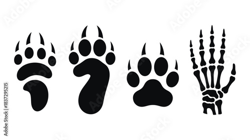 Animal Tracks and Paw Print Silhouette, Bold Wildlife Footprints Illustration for Nature Themed Design Work, Forest Adventure Concept, Outdoor Ecology, Conservation Graphic Element.