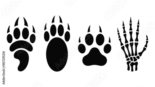 Animal Tracks and Paw Print Silhouette, Bold Wildlife Footprints Illustration for Nature Themed Design Work, Forest Adventure Concept, Outdoor Ecology, Conservation Graphic Element.