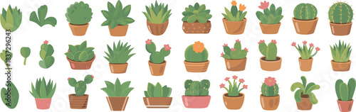 Cartoon succulent and cactus plant set featuring diverse pots, flowers, and leaf shapes for botanical and decorative themes.