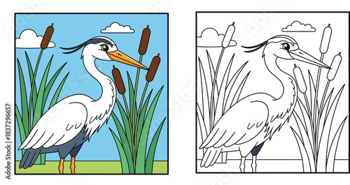 Cute cartoon grey heron standing in a marsh among cattails. Vector illustration of a wild water bird or stork in a wetland nature scene with blue sky.