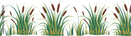 Cattail plant border illustration featuring repeating wetland foliage and orange flowers for nature, decorative, and design themes.