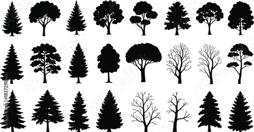 Tree silhouette illustration set featuring 24 diverse botanical forms for nature, educational, and landscape design themes.