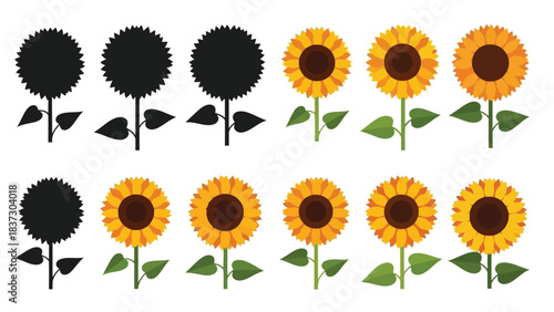 A collection of sunflowers in various stages of bloom and color