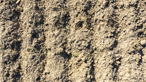 Agricultural machinery tracks on a field, soil in a field with tracks from turnip harvesting.