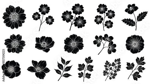 Black floral silhouettes an arrangement of anemone and foliage designs