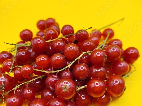 Portion of red currant against a yellow background