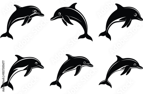 dolphin vector