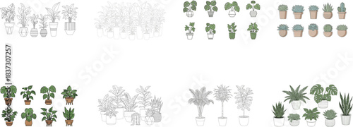 Various potted houseplants and foliage illustrations