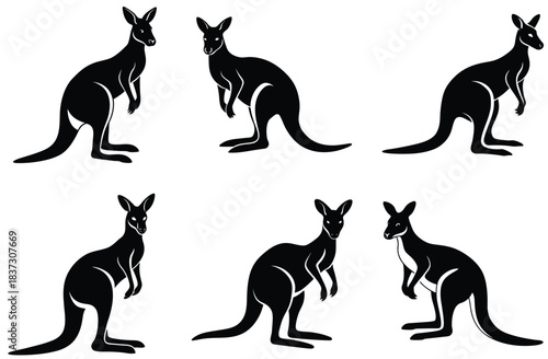 kangaroo vector