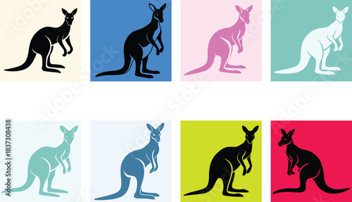 kangaroo