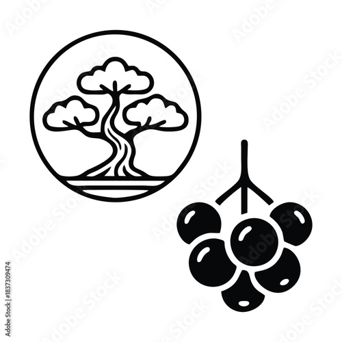 Minimalist Nature Icons: Bonsai Tree and Grape Cluster